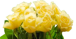 Vibrant Yellow Roses Bouquet