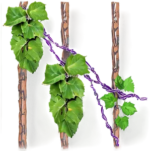 Vine Climbing Green Leaves PNG image