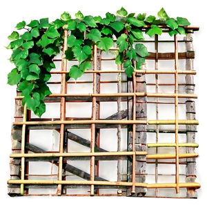 Vine Covered Bamboo Lattice PNG image