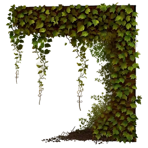 Vine Overgrown Window Png 81 PNG image