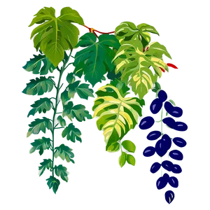 Vine Plant Clipart Png 06272024 PNG image