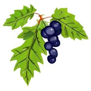 Vine Plant Clipart Png 06272024 PNG image