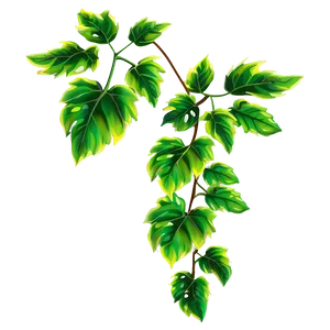 Vine Plant Clipart Png Roo50 PNG image