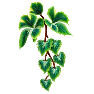 Vine Plant PNG 56