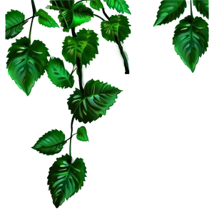 Vine Plant PNG Qqx14
