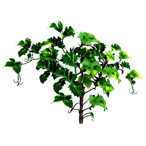 Vine Plants PNG Fxu57