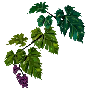Vine Plants PNG Fxv18