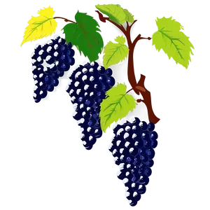 Vineyard Grape Vine Png 05042024 PNG image