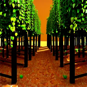 Vineyard Pathway3 D Rendering PNG image