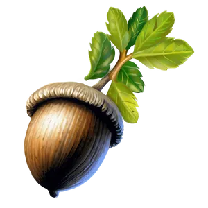 Vintage Acorn Drawing PNG Fqi11 PNG