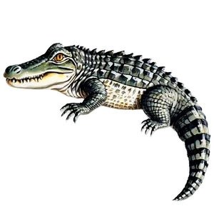 Vintage Alligator Illustration PNG Gqd PNG