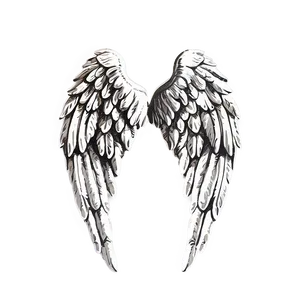 Vintage Angel Wings Graphic PNG 85