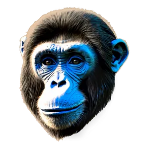 Vintage Ape Sketch Png 33 PNG image