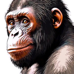 Vintage Ape Sketch Png Oui34 PNG image