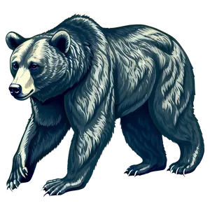 Vintage Bear Illustration PNG 12
