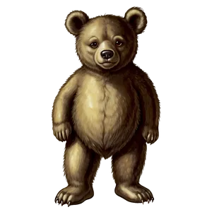 Vintage Bear Illustration PNG 52 PNG