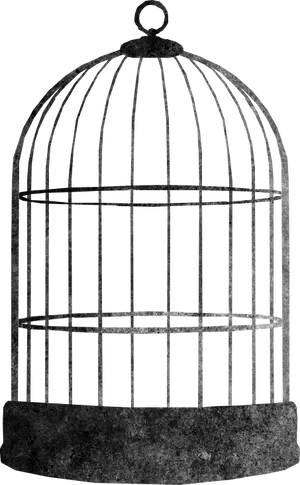 Vintage Bird Cage Graphic