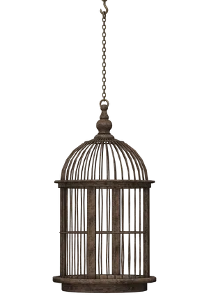 Vintage Bird Cage Isolated