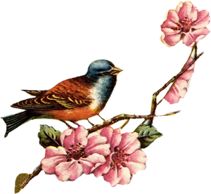 Vintage Birdand Pink Flowers Illustration PNG image