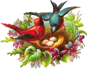 Vintage Birds Nest Illustration PNG