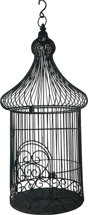 Vintage Black Birdcage PNG