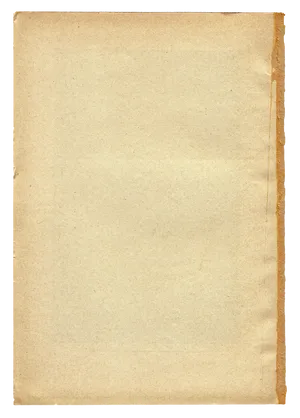Vintage Blank Paper Texture