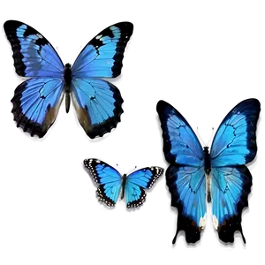 Vintage Blue Butterflies PNG Thu37