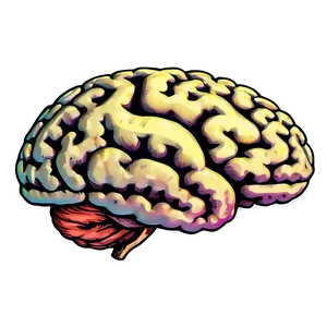 Vintage Brain Illustration Png 04292024 PNG image