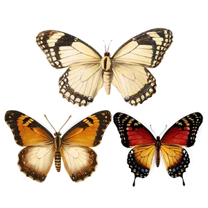 Vintage Butterflies Png Cdn PNG image