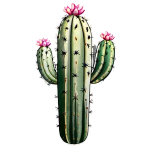 Vintage Cactus PNG Dur83