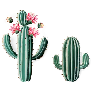 Vintage Cactus PNG Iwb11