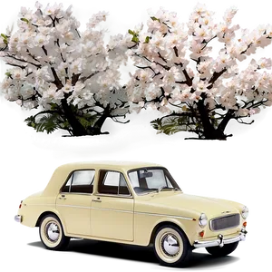 Vintage Car In Spring Blossoms PNG 06252024