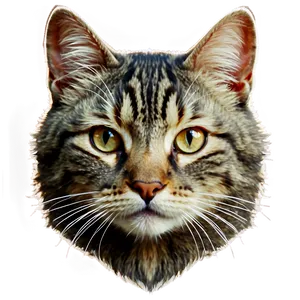 Vintage Cat Face Png 06122024 PNG image