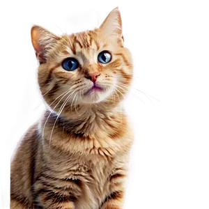 Vintage Cat Meme PNG 87 PNG