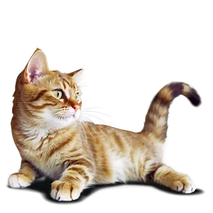 Vintage Cat Picture PNG 51 PNG