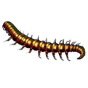 Vintage Centipede Sketch Png Ivw PNG image