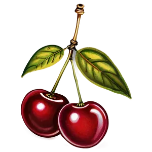 Vintage Cherries PNG 06212024 PNG