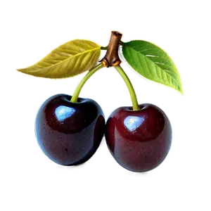 Vintage Cherries PNG 11 PNG