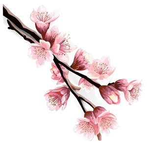 Vintage Cherry Blossom Illustration Png 79 PNG image