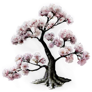 Vintage Cherry Blossom Tree Png 05242024 PNG image