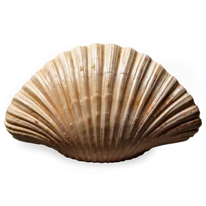 Vintage Clam Shell Png 61 PNG image