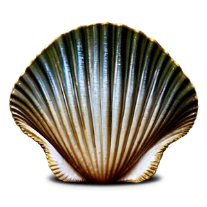 Vintage Clam Shell Png Cxb52 PNG image