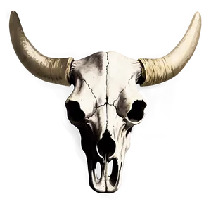 Vintage Cow Skull Drawing Png Kkc PNG image