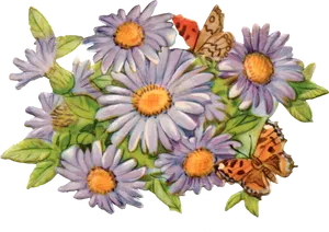 Vintage Daisyand Butterflies Illustration PNG image