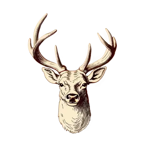 Vintage Deer Antler Sketch Png 70 PNG image