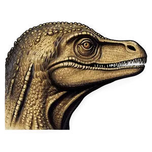 Vintage Dinosaur Head Engraving PNG 06292024