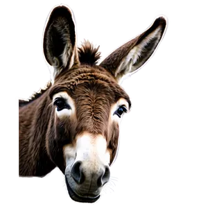 Vintage Donkey Art PNG 05232024