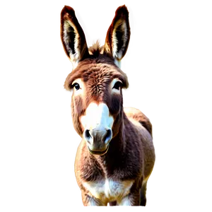 Vintage Donkey Art PNG Dgt20