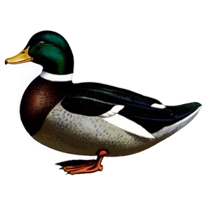 Vintage Duck Illustration PNG Fpe2