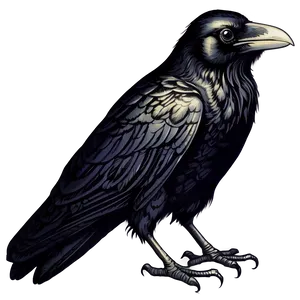 Vintage Engraved Raven PNG Uvb PNG